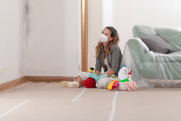 Reliable Mold Remediation contractor in Pennington, NJ by Cheap Mold Removal